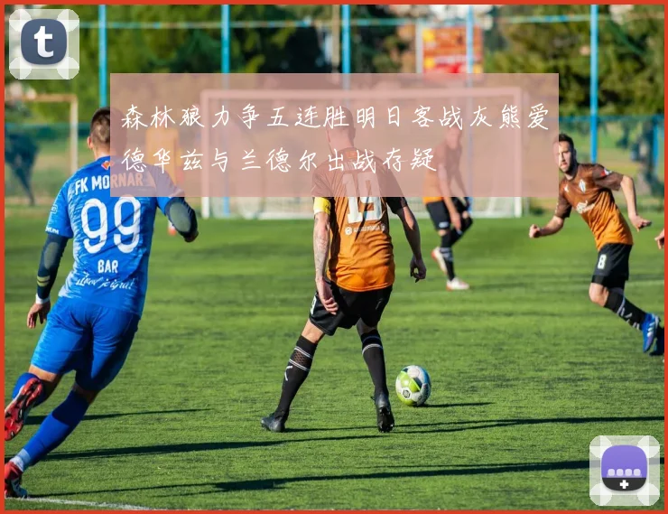 森林狼力争五连胜明日客战灰熊爱德华兹与兰德尔出战存疑