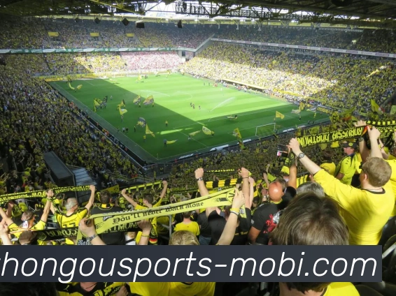 中欧体育平台生态图